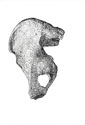 JLIN.0092_thumb