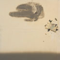 SORL.0022_thumb