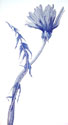 JLIN.0264_thumb