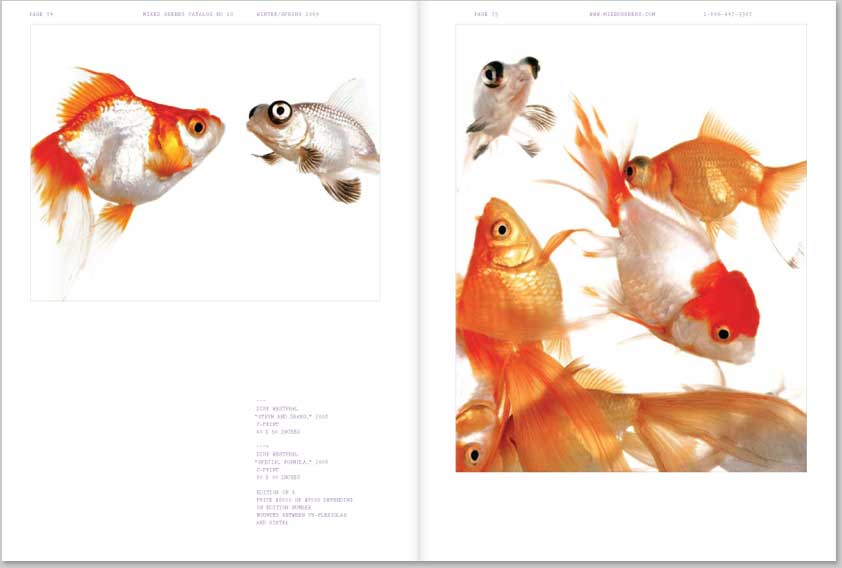 book_10_slide_8