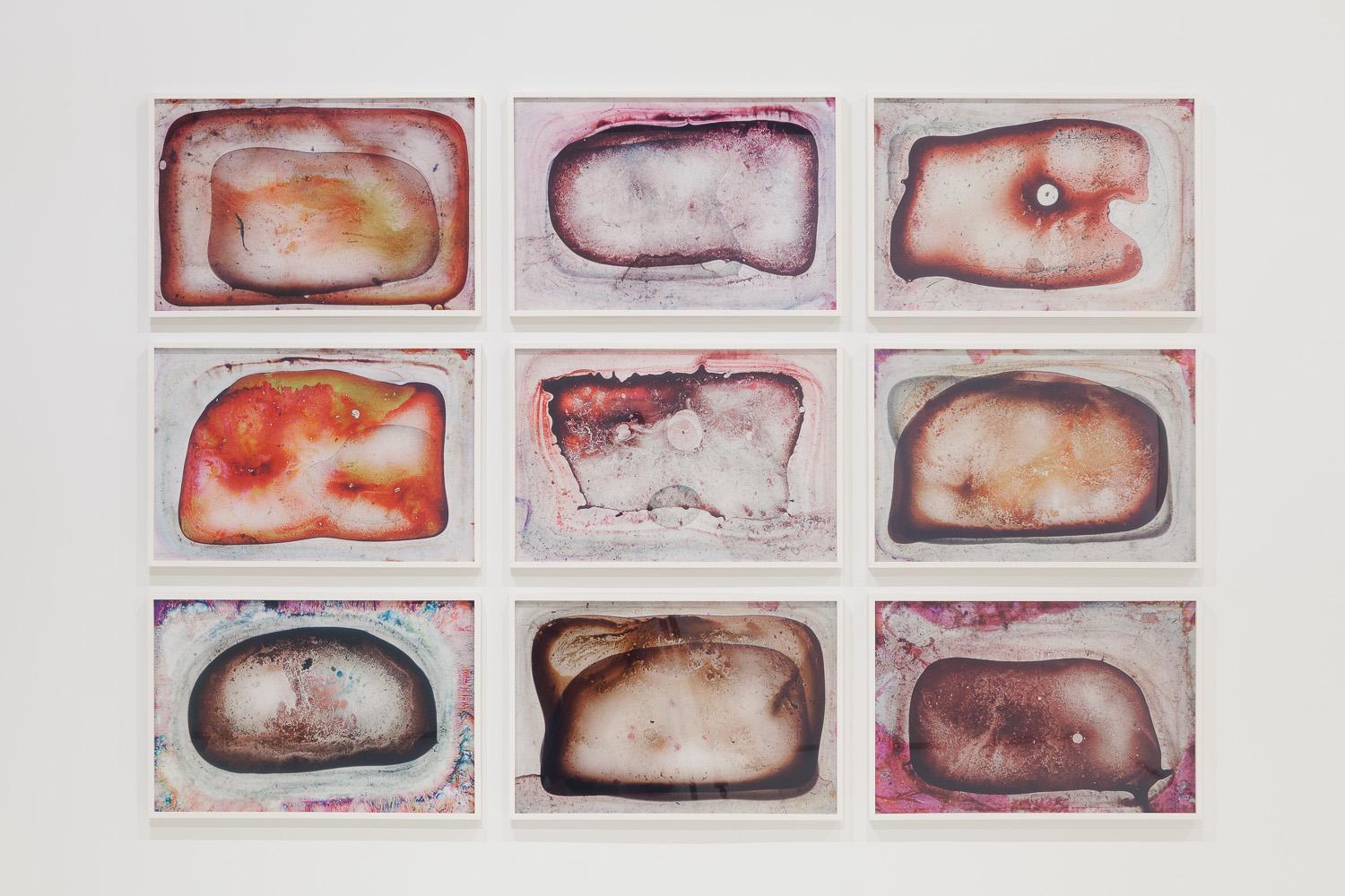 130321EFrossard_MxGrns_CWONeal_1206