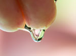 JSWA.0199_thumb