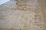 MTEM.0206_thumb