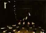 AMIL.0335_thumb