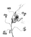 JSMO.0125_thumb