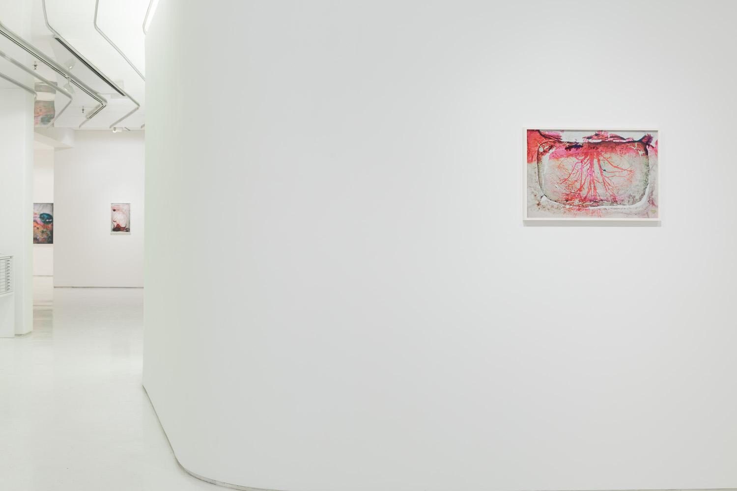 130321EFrossard_MxGrns_CWONeal_1202