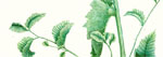 JLIN.0338_FULL_thumb