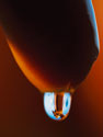 JSWA.0175_thumb