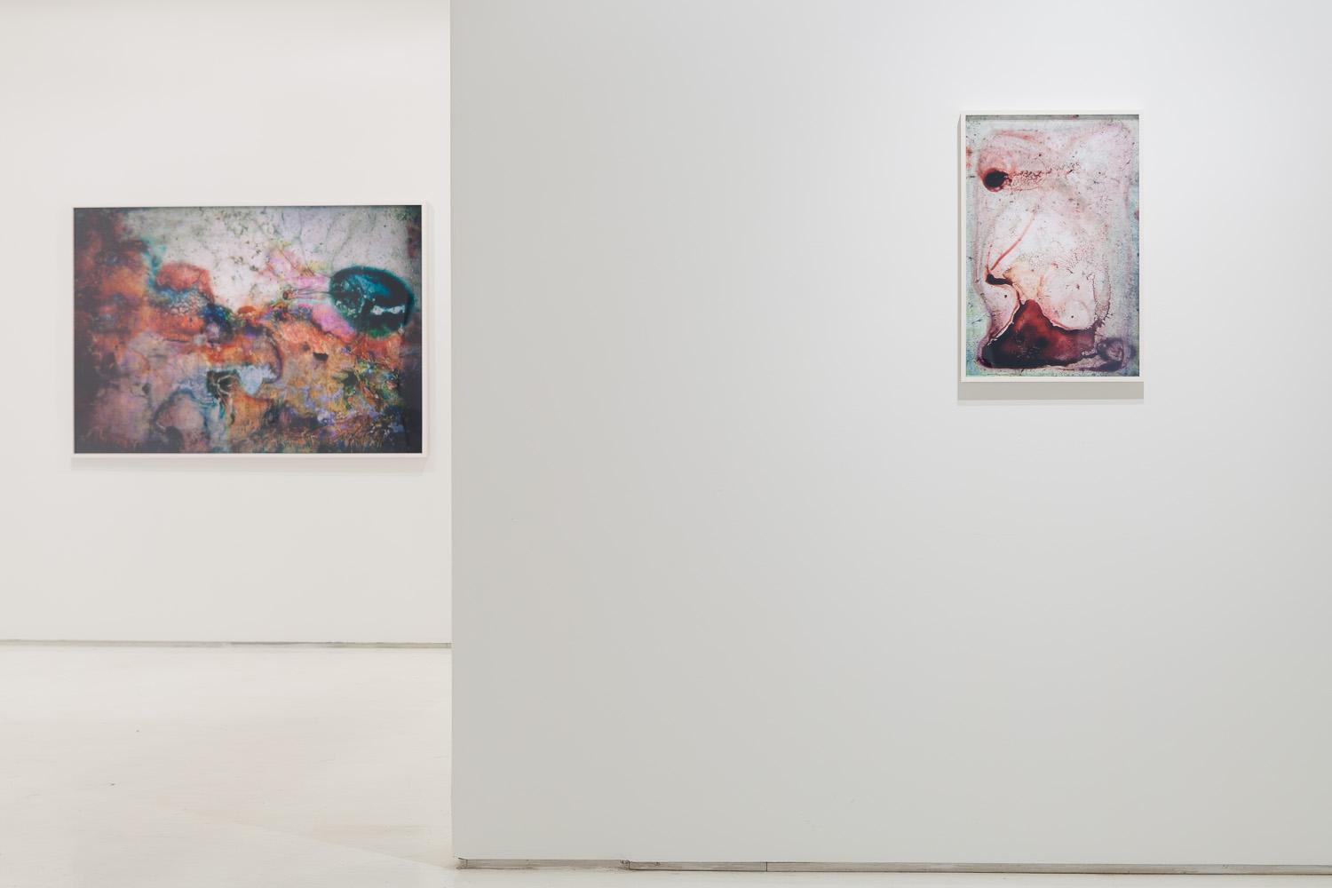 130321EFrossard_MxGrns_CWONeal_1205