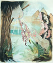 MMUL.0228_thumb