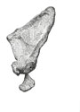 JLIN.0091_thumb