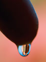 JSWA.0135_thumbnail