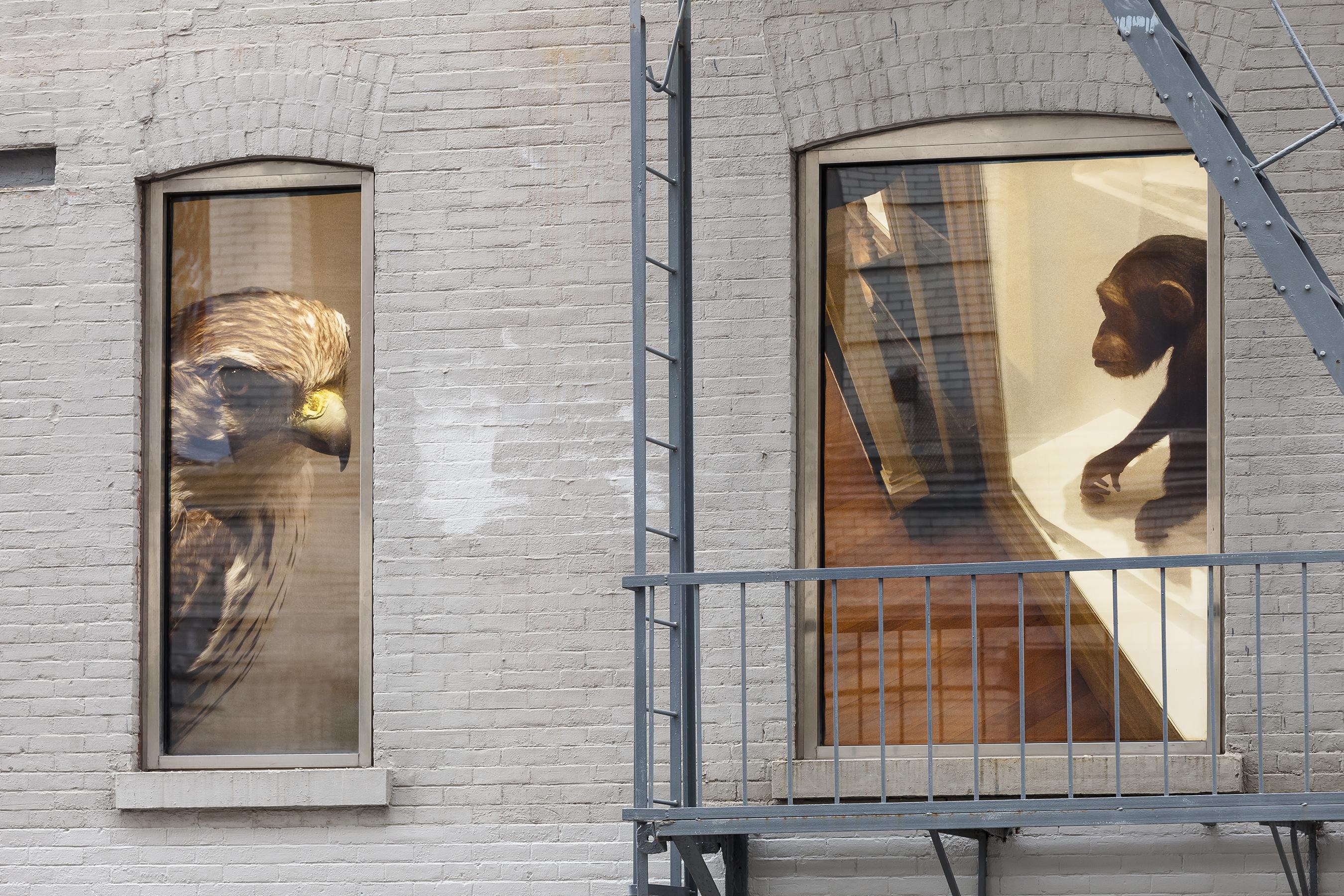 151119EFrossard_MxG_MMurphy_9233b