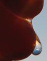 JSWA.0231_thumb