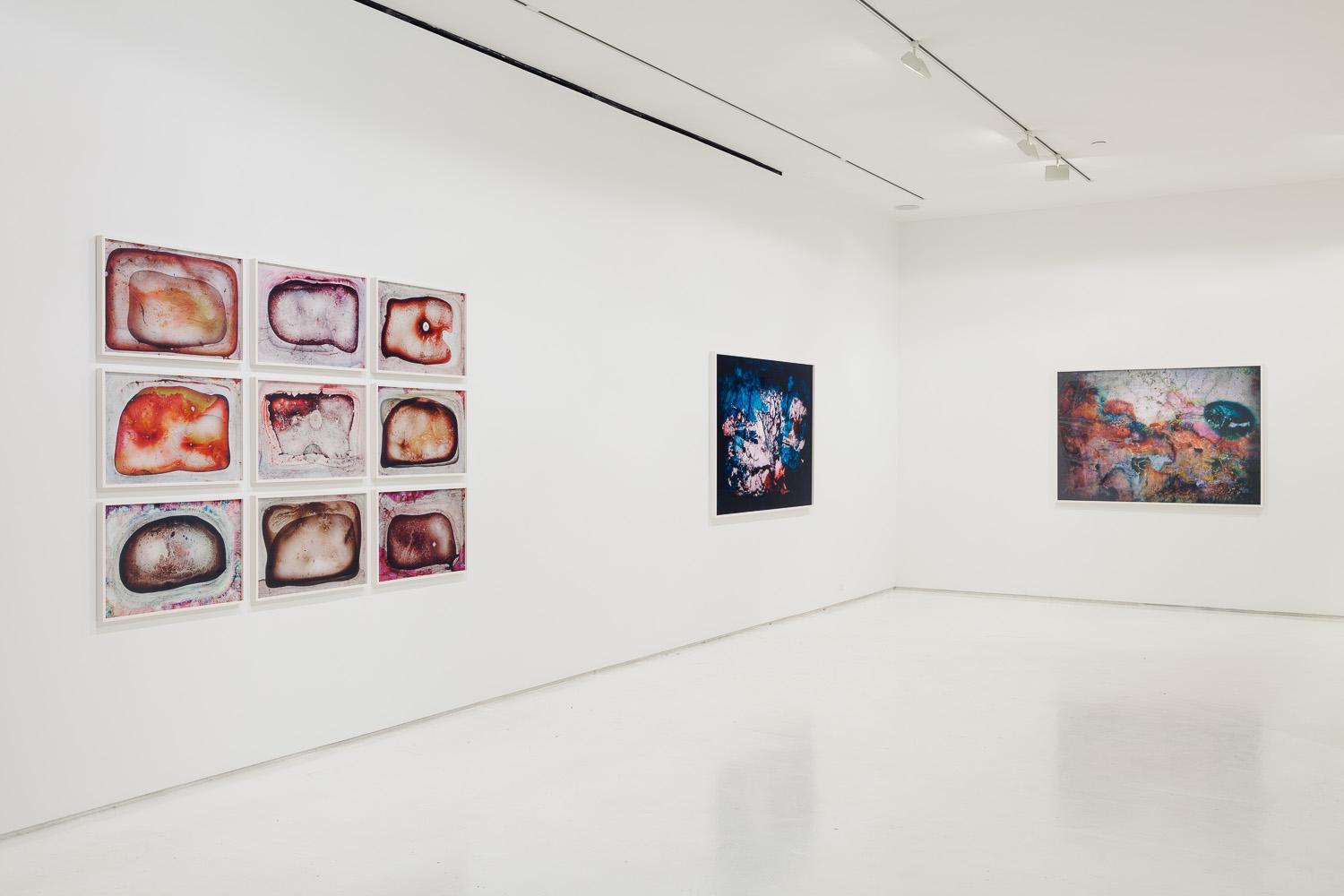 130321EFrossard_MxGrns_CWONeal_1208