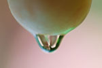 JSWA_thumb