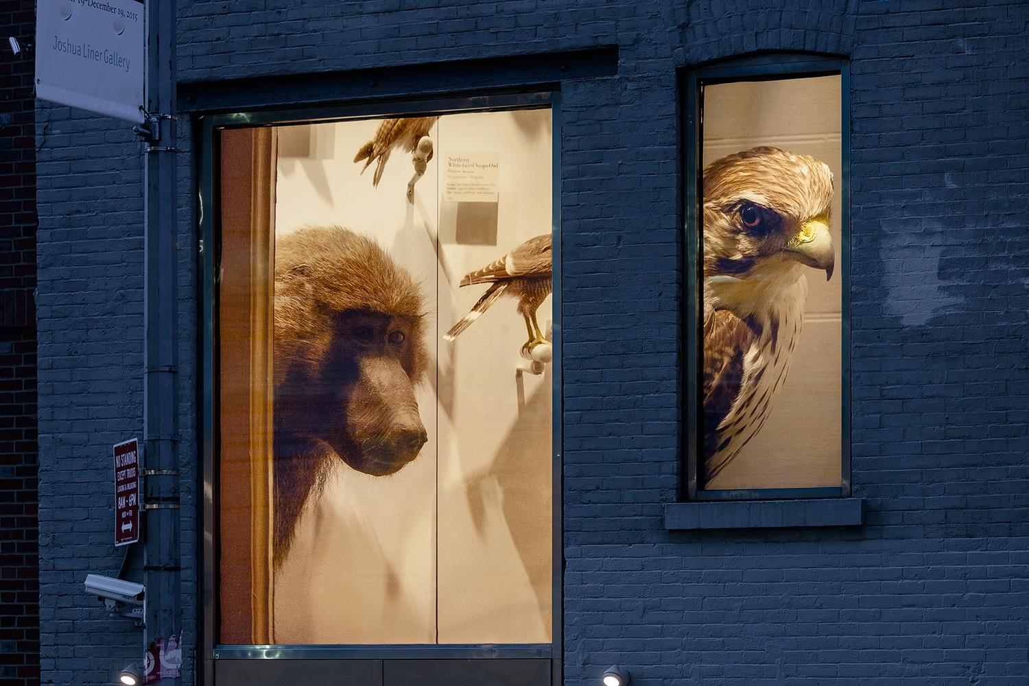 151127EFrossard_MxG_MMurphy_0041