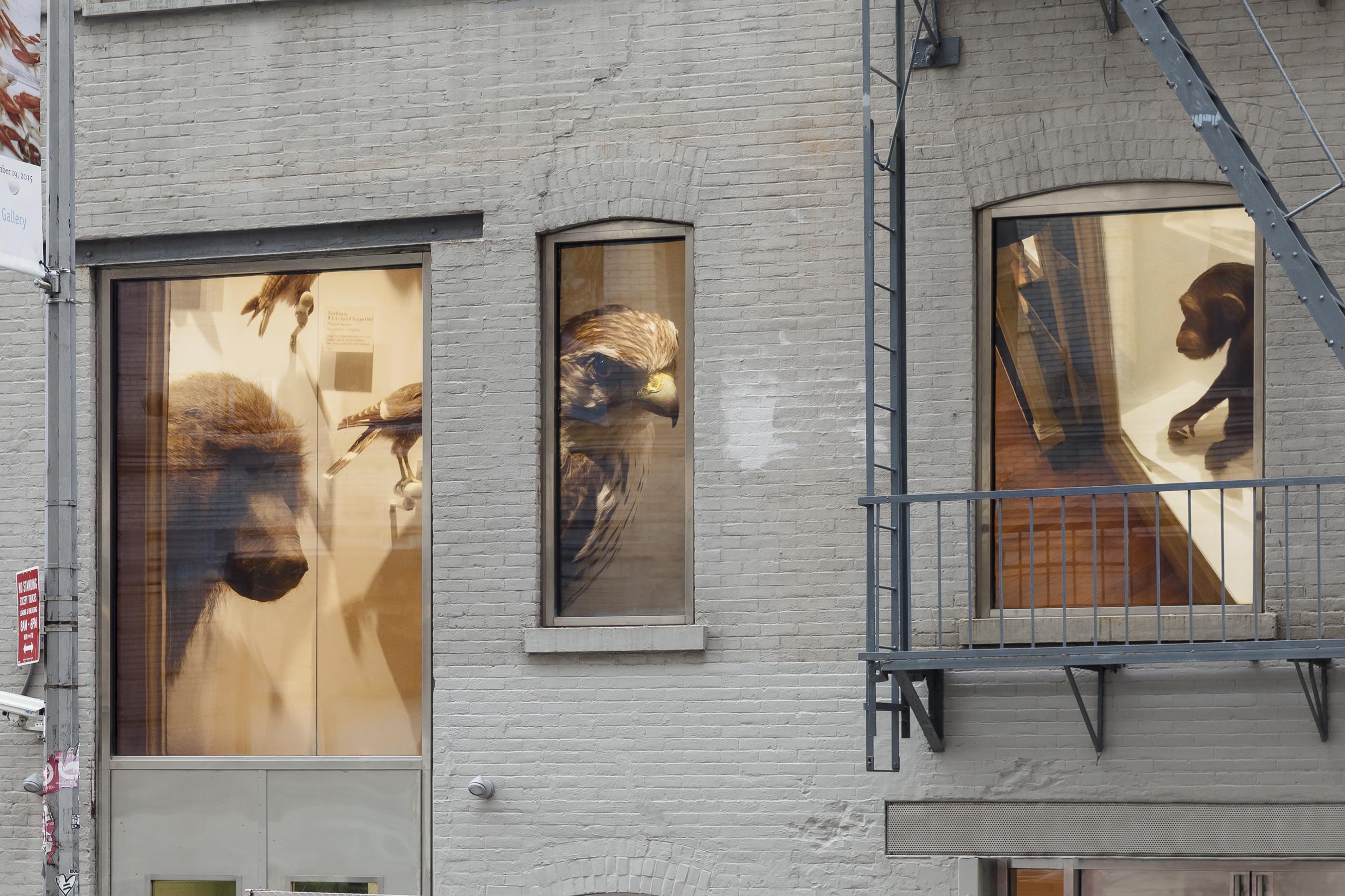 151119EFrossard_MxG_MMurphy_9229b