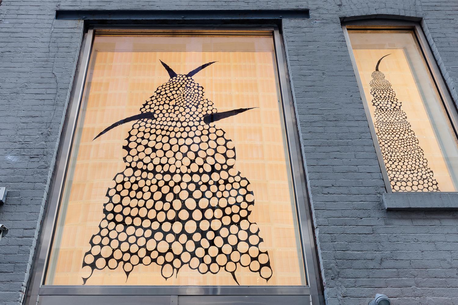 150116EFrossard_MGrns_Wndws_0787