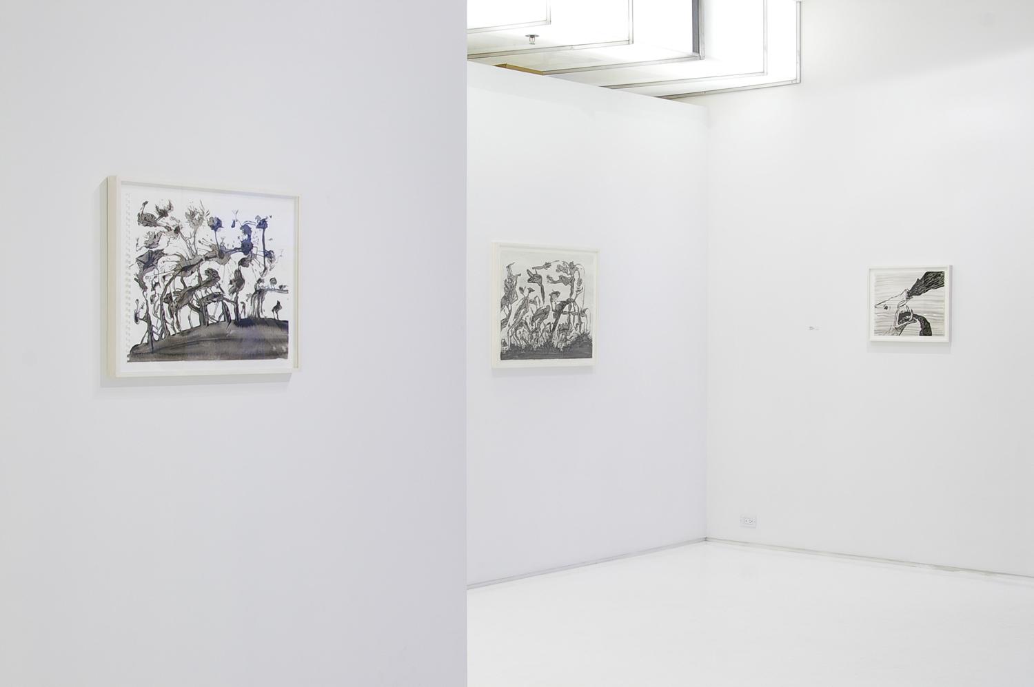 IMGP4334_web