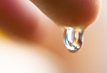 JSWA.0247_thumb