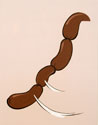 MMUL.0316_thumb