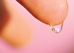 JSWA.0239_thumb