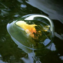 JSWA.0038_thumb