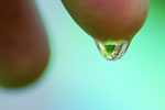 JSWA_thumb