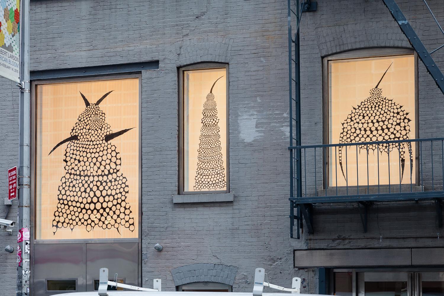 150116EFrossard_MGrns_Wndws_0779