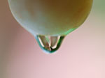 JSWA.0151_thumb