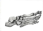 JLIN.0094_thumb