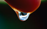 JSWA.0159_thumb