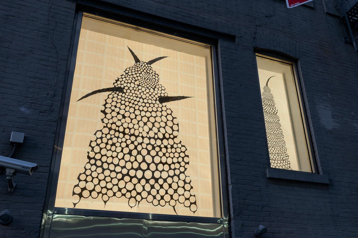 150211EFrossard_MGrns_Wndws_5749