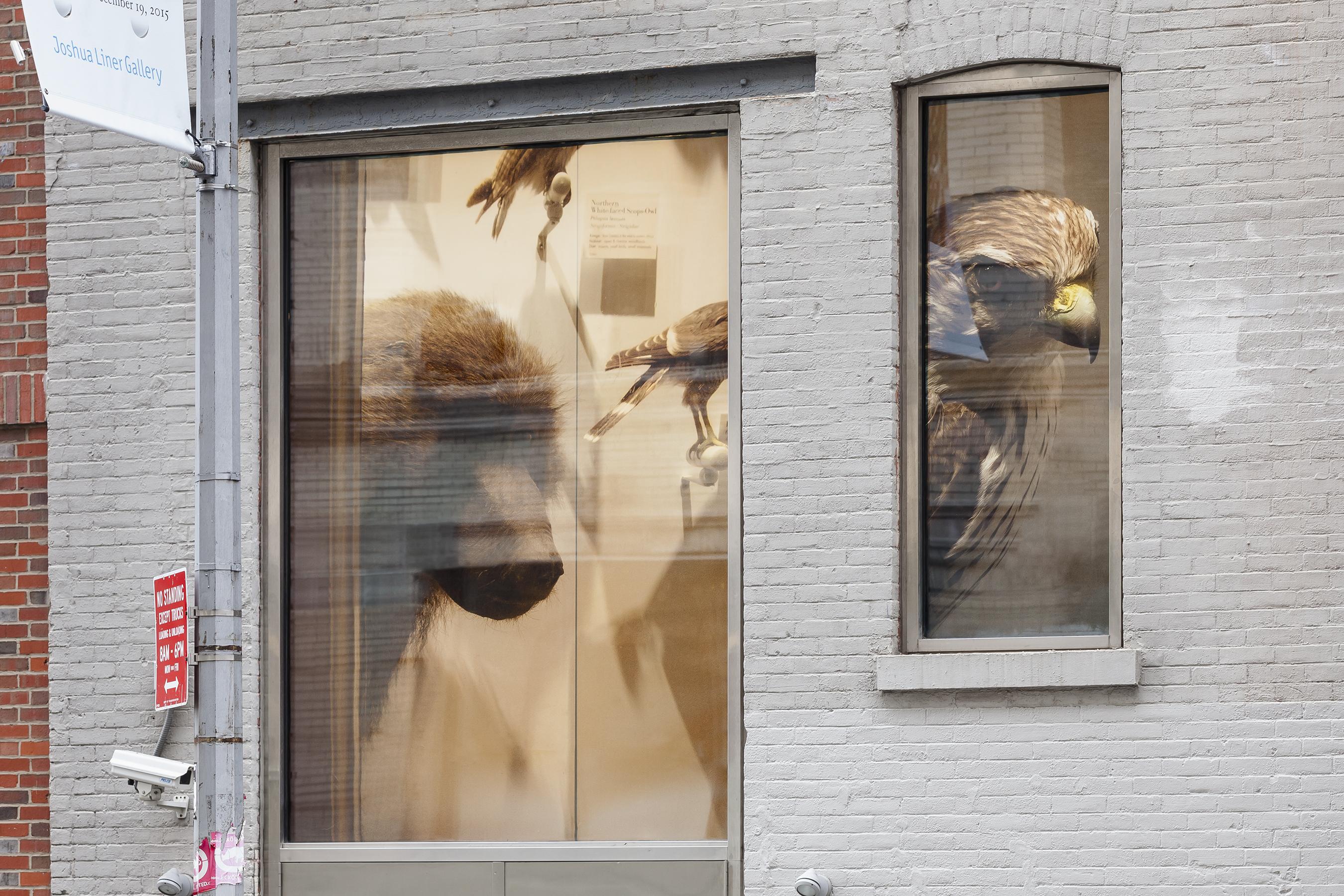 151119EFrossard_MxG_MMurphy_9238b