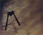 AMIL.0085_thumb