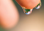 JSWA.0223_thumb
