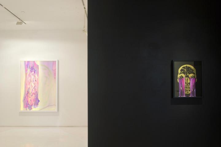 ZLEW_IMGP1755