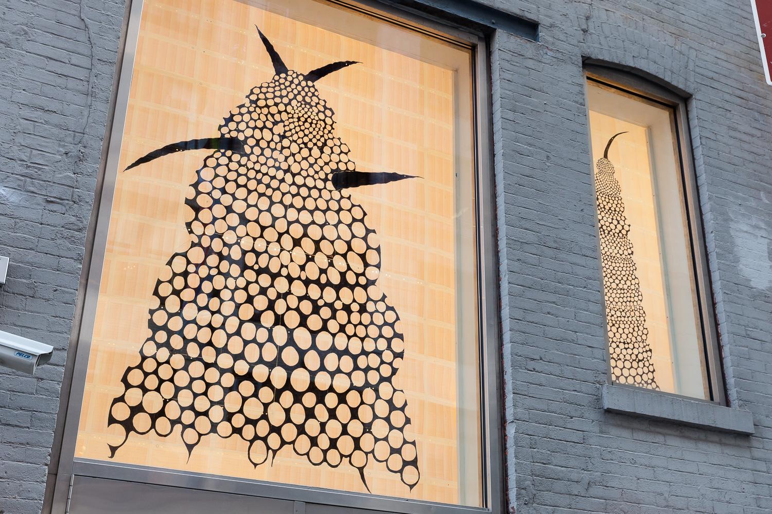 150116EFrossard_MGrns_Wndws_0777