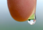 JSWA.0191_thumb