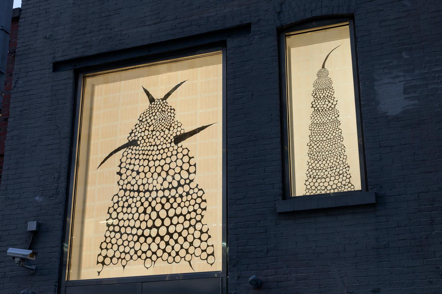 150211EFrossard_MGrns_Wndws_5748