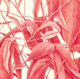 JLIN.0340_all_prt_detail