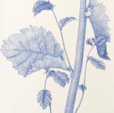 JLIN.0271_prt_detail