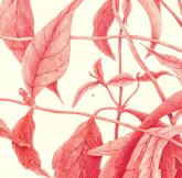 JLIN.0340_all_prt_detail2